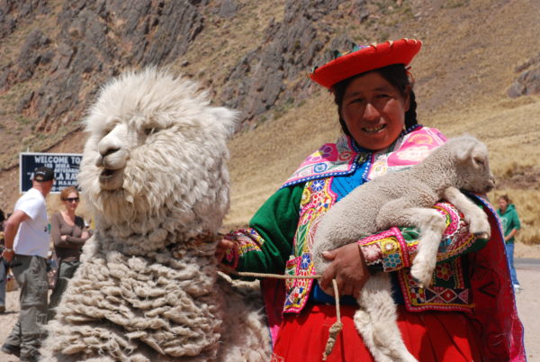 Peru Reise - alte Königreiche; Indígena mit Alpaka und Lamm