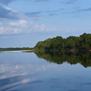 Amazonas