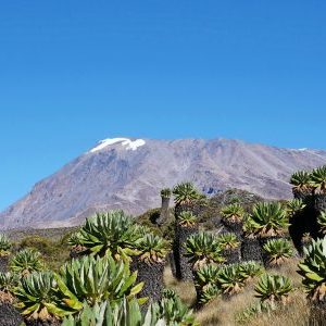 PURE Kilimanjaro mit Rudi Stangl oder Jacob Zurl