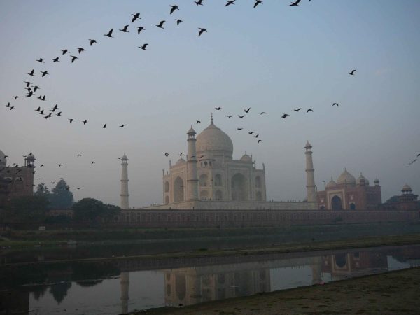 Goldenes Dreieck - Agra, Taj Mahal