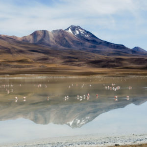 Laguna colorada - Bergreise mit Rudi Stangl