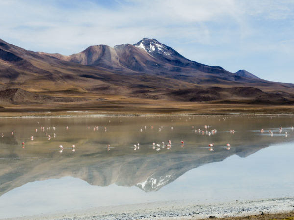 Laguna colorada - Bergreise mit Rudi Stangl